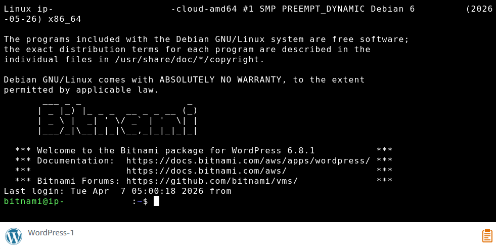 AWS Lightsail 관리 페이지의 브라우저 SSH로 접속한 WordPress 인스턴스 터미널. Bitnami WordPress 환영 배너가 보인다.
